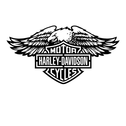 Quadro in metallo raffigurante iconico logo motociclistico americano, decorazione murale per appassionati di moto e cultura biker